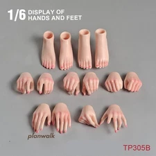 1Set Female Figure Body Model Kit Pale Hands Foot Accessories For 12" 1:6 