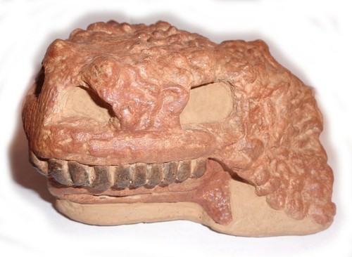 NEW!!! Fossil Replica, Pareiasaur, Permian, 260 ma, Kotelnich, Russia - Picture 5 of 9