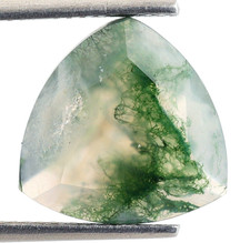 Natural Moss Agate Brilliant Trillion Shape 13X13mm Wholesale Gemstone 4.75 Ct.