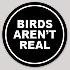 Funny Bumper Sticker Birds Arent Real Funny Bumper Sticker Birds Arent Real