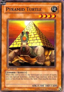 Pyramid Turtle - SD2-EN005 - Common - 1st Edition x3 - Near Mint