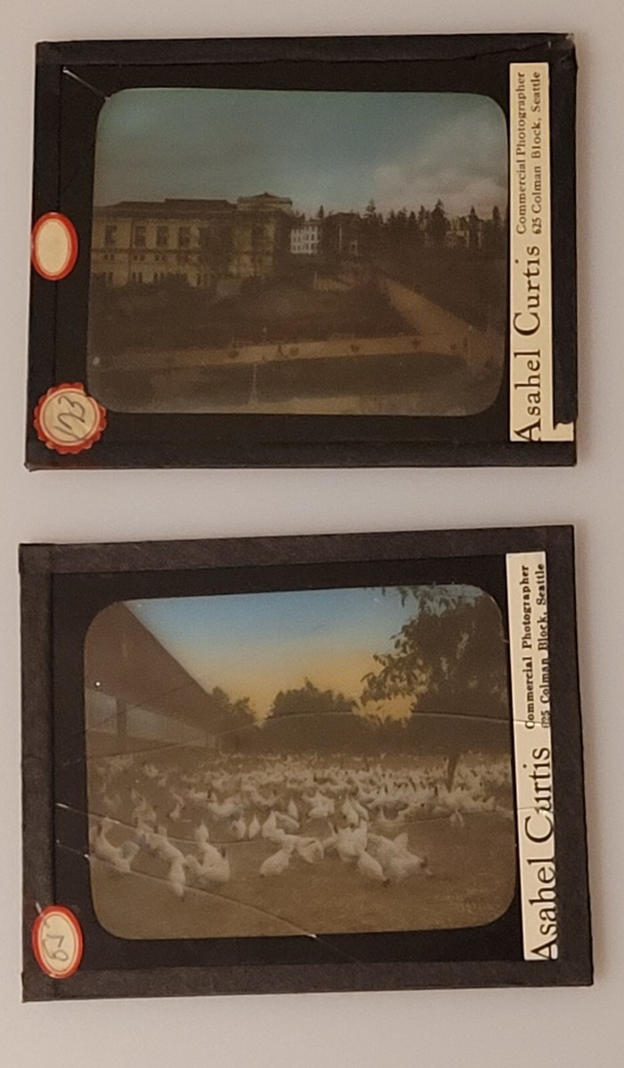 ASAHEL CURTIS LANTERN SLIDES GLASS SEATTLE LANTERN VINTAGE