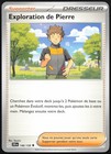 Carte Pokémon Exploration de Pierre 146/159 Aventures Ensemble Français