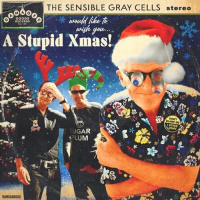 A Stupid Xmas! by Sensible Gray Cells (Record, 2023)