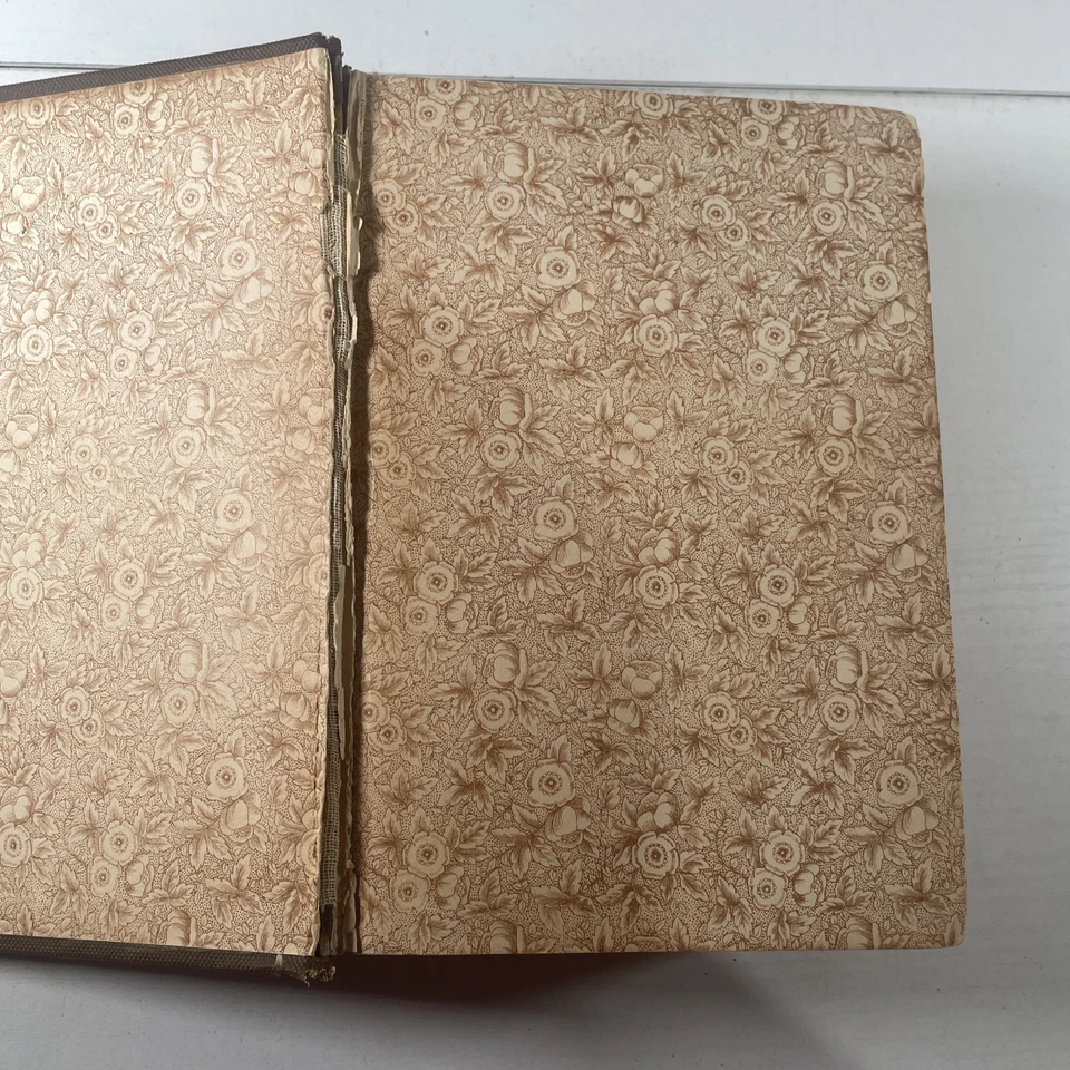 ANTIQUE 1884 FAMILY EDITION The Complete Works of William Shakespeare - Image 3 of 4