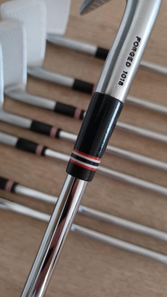 Scratch Golf 1018 Iron set 310 Dynamic Gold S200 Shaft Golf