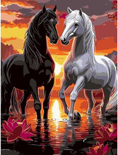 Creative Paint by Number Kit for Adults, Horse DIY Paint by Numbers Set for Home