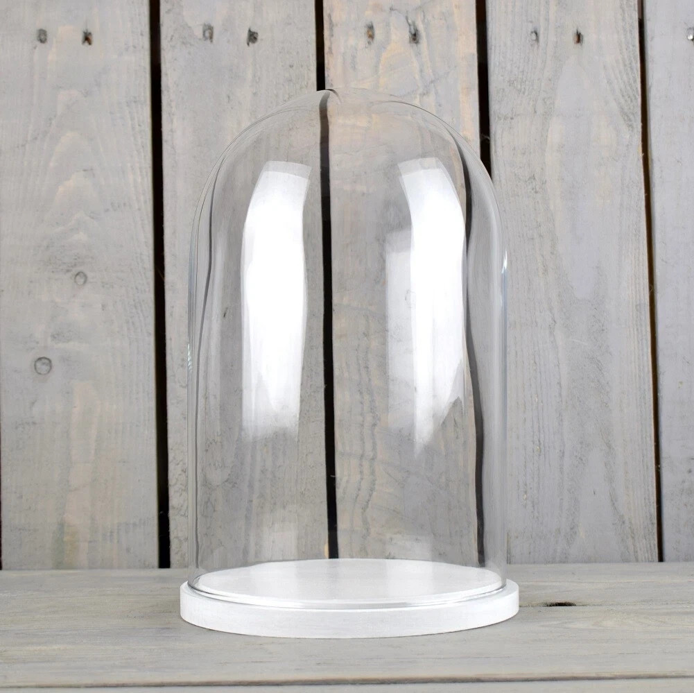 Medium Glass Dome Display Cover Cloche White Base Height 30 x 20 cm