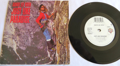 David Lee Roth   Just Like Paradise          W8119          VINYL MINT