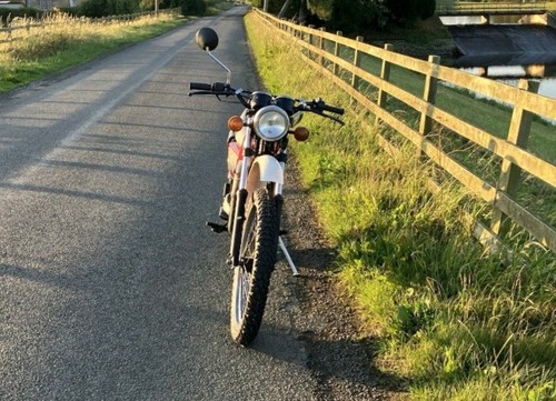 Suzuki TS 125 Motorcycle 1979 V Reg - Picture 7 of 10