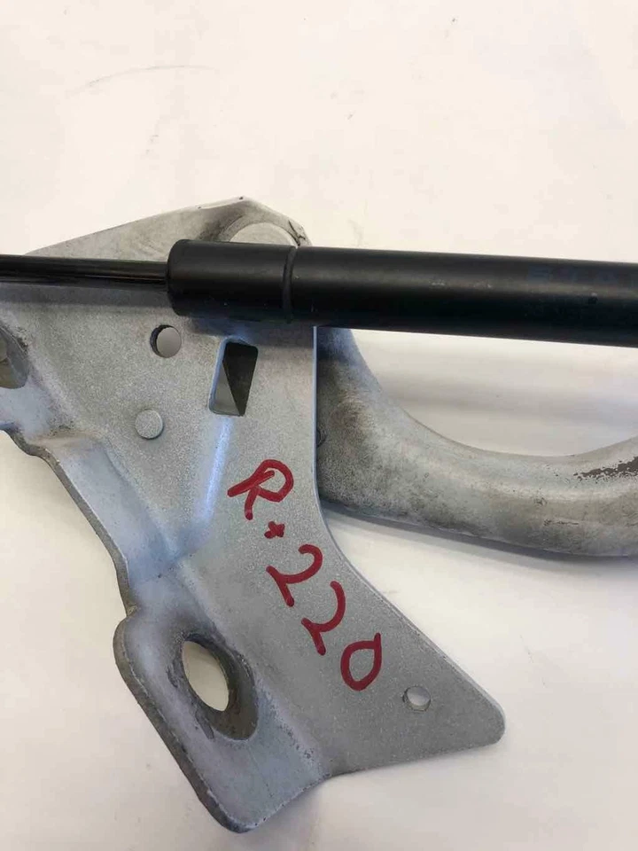 Ford F-150 1997-2004 capó delantero bisagra liberación capó pasajero derecho OEM Foto 3 de 4