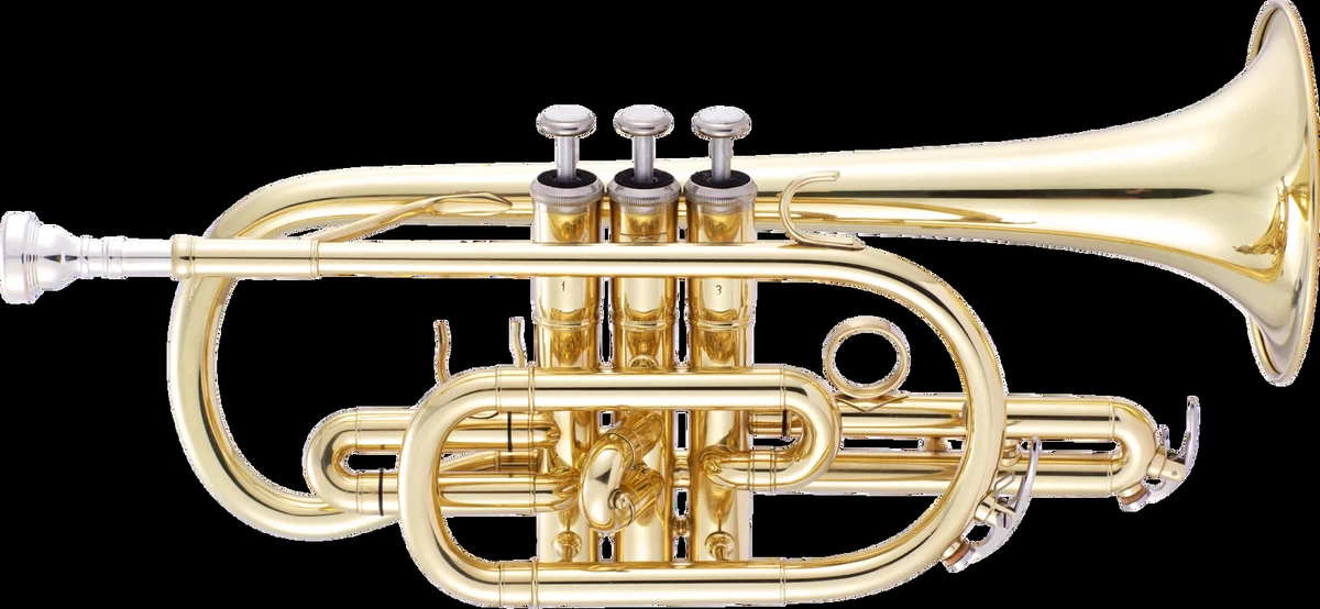 Jp cornet 2024