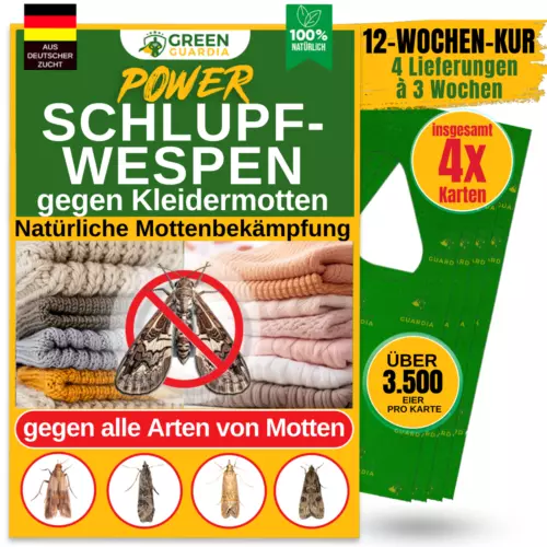 Schlupfwespen gegen Kleidermotten 1 Karte 4x Lieferung, GREEN GUARDIA,Biologisch