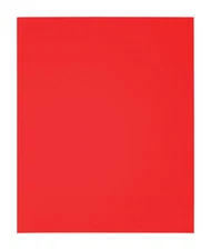 Diablo 9 in.   L X 11 in.   W 80 Grit Aluminum Oxide Sanding Sheet 4 pk