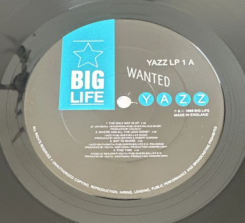 Yazz ~ Wanted ~ Album Vinyl Record  + Inner Sleeve 1988 Pop EX / EX - Image 4 of 4