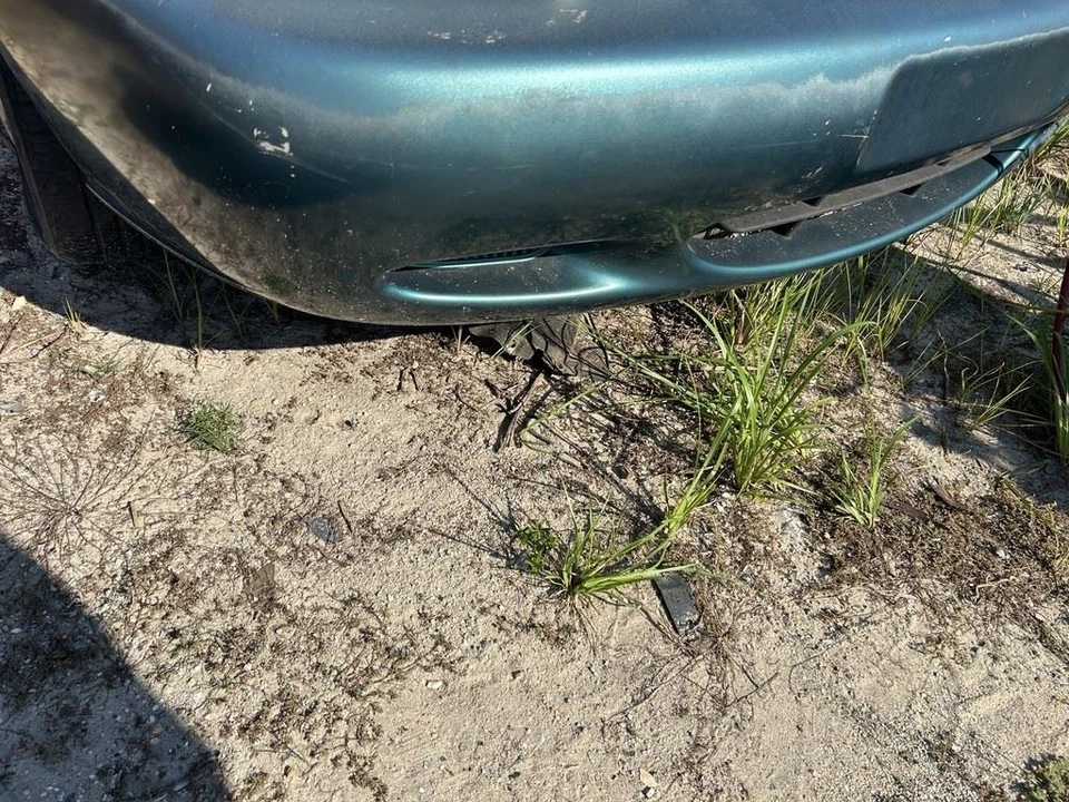 Hood Excluding Coupe Fits 97-02 ESCORT 104895791 - Image 3 of 4