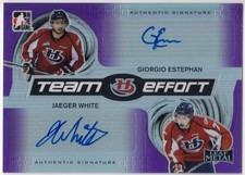 2014-15 ITG Leaf Metal Team Effort Auto Purple Prismatic ESTEPHAN WHITE TE-16 /5