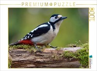 Calvendo Puzzle Buntspecht 1000 Teile Puzzle Quer | 1000 Teile Lege-GrößE 64X48C