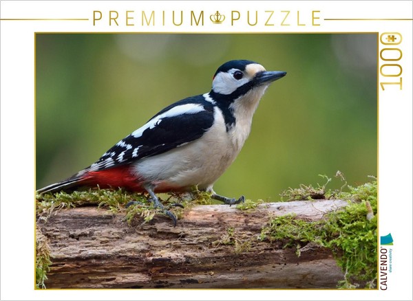 Calvendo Puzzle Buntspecht 1000 Teile Puzzle Quer | 1000 Teile Lege-GrößE 64X48C-image