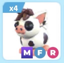 MFR Mini Pig