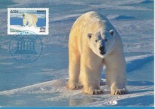 CARTE MAXIMUM 1er JOUR - SERVICE N° 144 - FAUNE - OURS POLAIRE