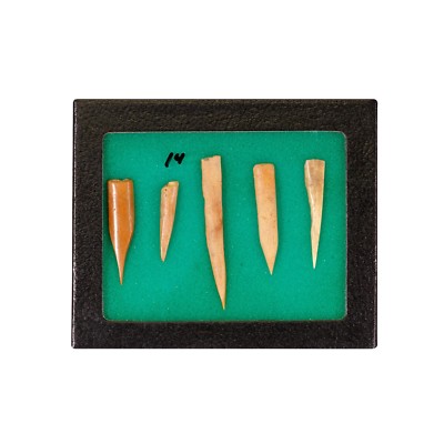 Native American Splinter Deer Bone Awls 