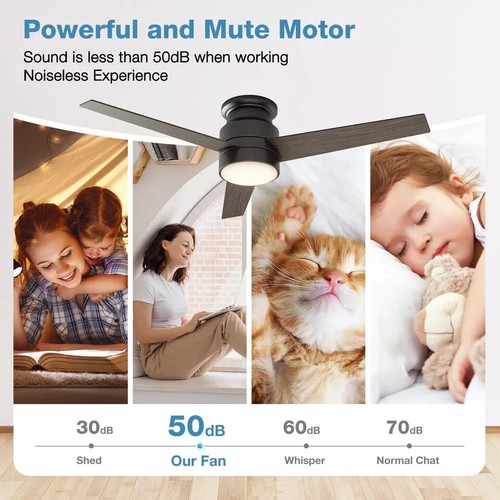 warmiplanet Flush Mount Ceiling Fan with Lights Remote Control, 52-Inch, Blac... - Picture 4 of 6