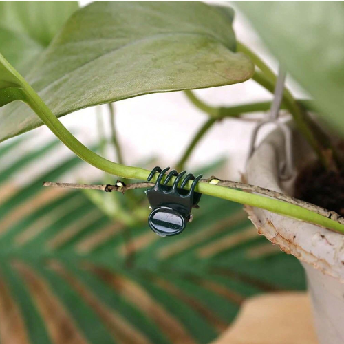 Orchid Plant Support Clips Small Garden Stem Clips Mini 1cm Plastic Flower Clamp - Picture 6 of 13