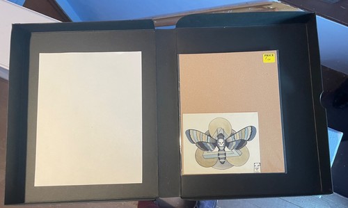 art drawing/painting- badazz skull & moth - Picture 3 of 3