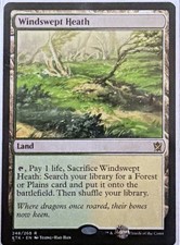 Magic: The Gathering Windswept Heath Land Rare Khans of Tarkir English Yeong-Ha…