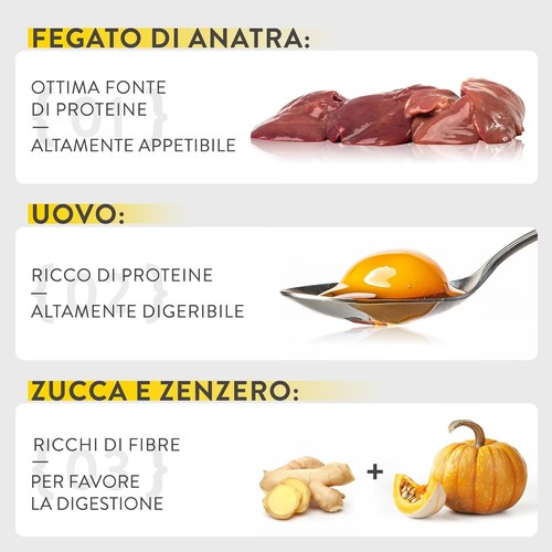 Schesir Special Exigent Cibo Umido Completo Per Gatti Esigenti (buste 12 Da 70g) - Bild 5 von 5