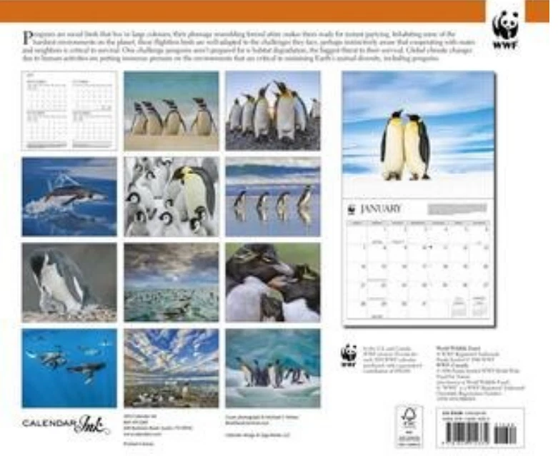 WWF (World Wildlife Foundation) Penguins 2024 Wall Calendar New! | eBay