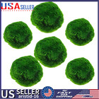 6Pcs Marimo Moss Ball Cladophora Live Aquarium Plant Fish Aquarium Decor 4cm