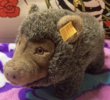 Steiff Mini Bora Wildschwein 032356 with Ear Tag HTF