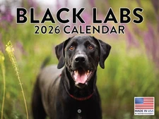 Black Lab Calendar 2026 Labs Monthly Wall Calender 12 Month 12x18