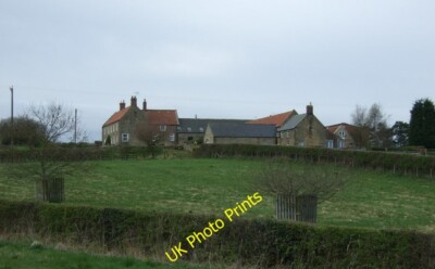 Foto 6x4 East Forest Farm Eshott c2015