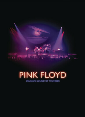 Pink Floyd Delicate Sound of Thunder | eBay