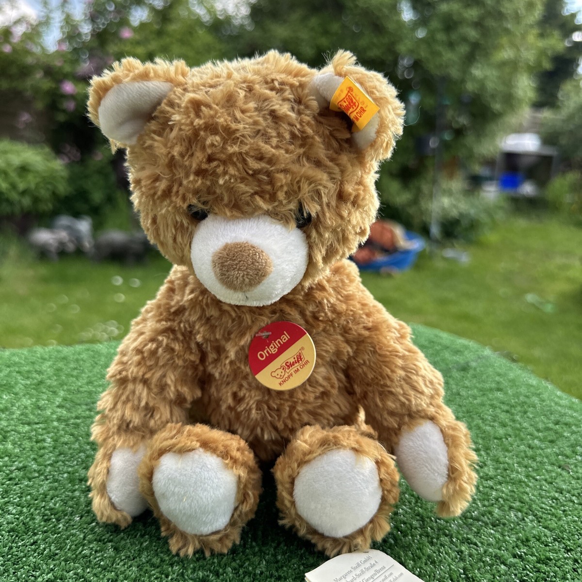 Steiff Gold Bear With White Paws - 022791 - Excellent Steiff Gold Bear With White Paws - 022791 - Excellent