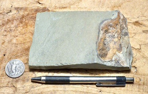 shale - hard green shale from the Cambrian Harkless Fm - teaching hand specimen - Bild 9 von 10