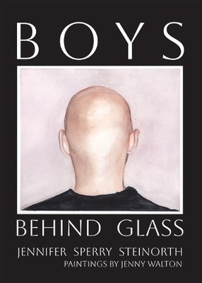 Boys Behind Glass Volume 3: Poems by Jennifer Sperry Steinorth Paperback Book