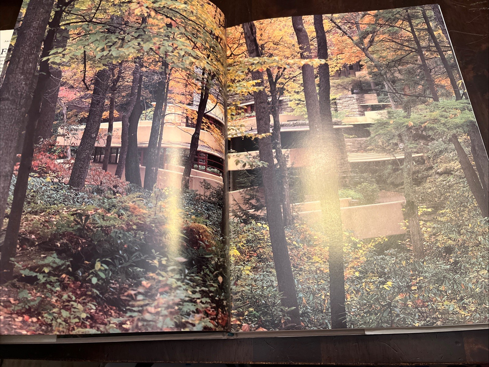 FALLINGWATER: A FRANK LLOYD WRIGHT COUNTRY HOUSE Edgar Kaufmann Large Hardcover