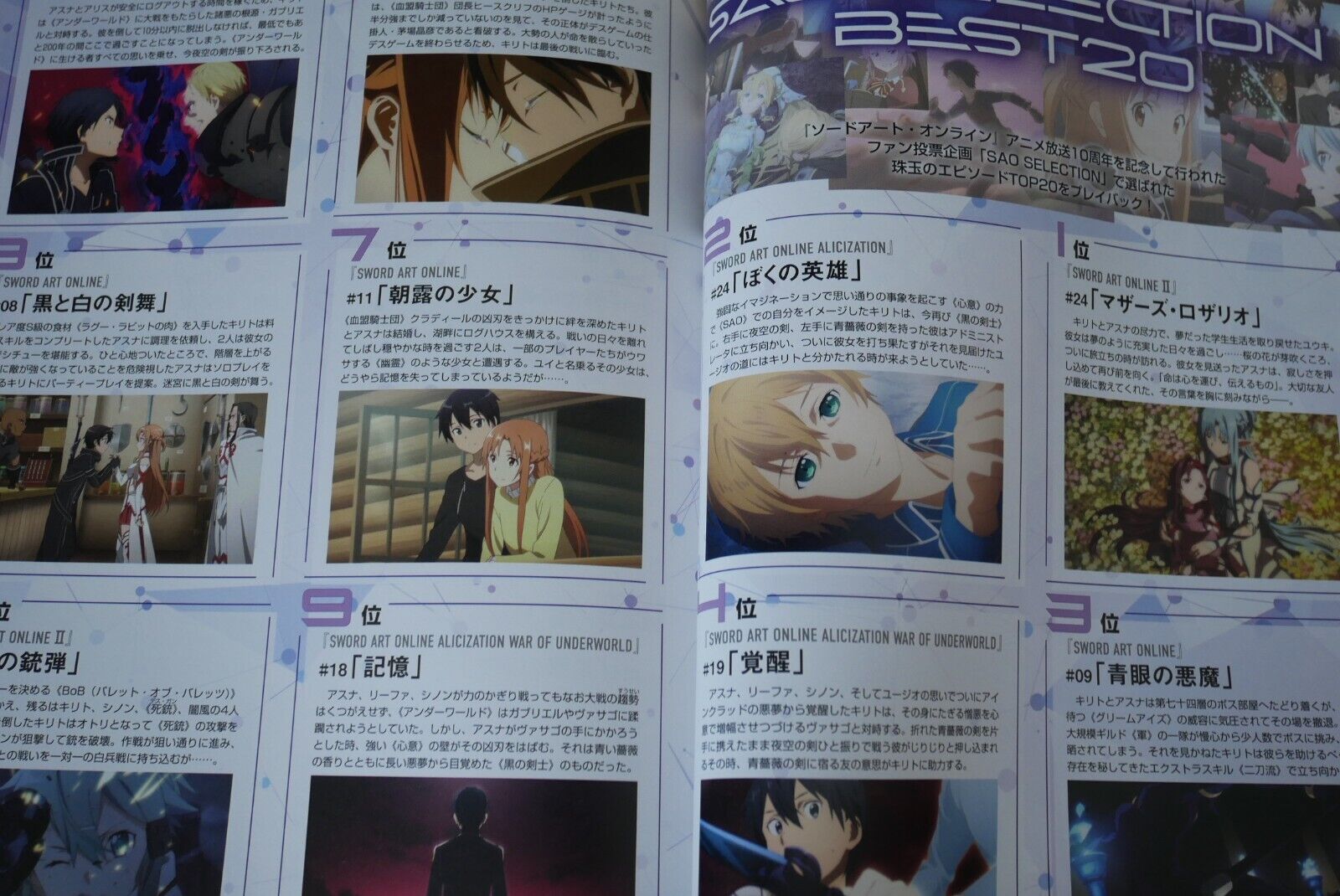 Sword Art Online Anime 10th Anniversary Book Magazine Dengeki Mook series  Japan 