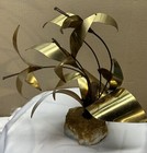 Picture 11 of 24