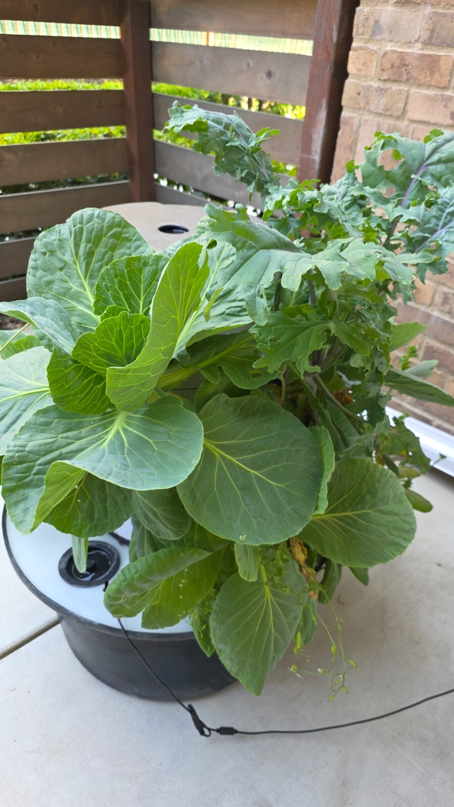 hydroponic vertical tower growing system-2025