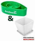 Afbeelding 3 van 15