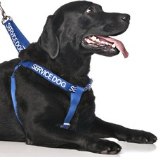 Dexil SERVICE DOG (Do Not Disturb/Dog Is Working) Blue Colour Coded Non Pull L-