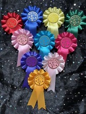 10 x Mini Well Done Rosettes in assorted colours. Ideal for Pony clubs & Parties