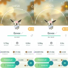 Pokemon Shiny Eevee With Cherry Blossom GO - TRA'DE 20k Dust - Read Description