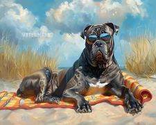 8x10 Matte Print Cane Corso Relaxing on Beach Towel with Sunglasses