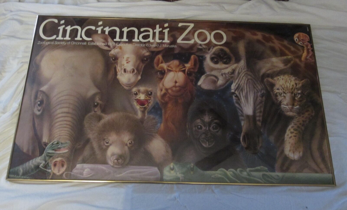 Cincinnati Zoo Babies 